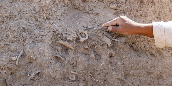 Arkeologlar Vanda bulunan Urartu kraliyet çöplerini didik didik ediyor