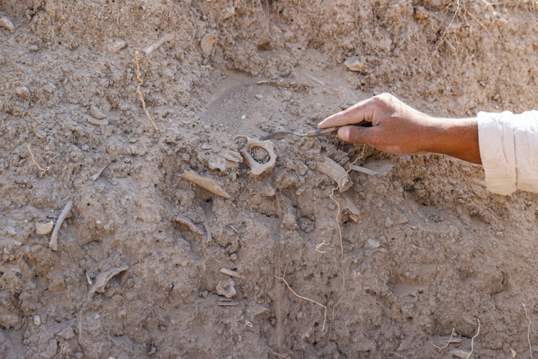 Arkeologlar Van'da bulunan Urartu kraliyet çöplerini didik didik ediyor