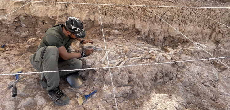Kapadokya Paleontolojisi Projesi ile Kayseri fosilleri için 5 ülke elele verdi