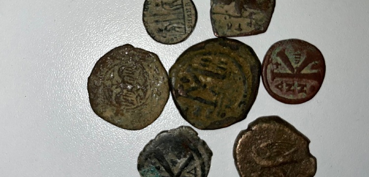 Elazığ'da bir kişi aralarında Selçuklu sikkeleri de olan paralarla yakalandı