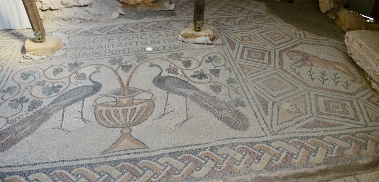 Hadrianaupolis antik kentinde tavus kuşu motifli mozaik bulundu
