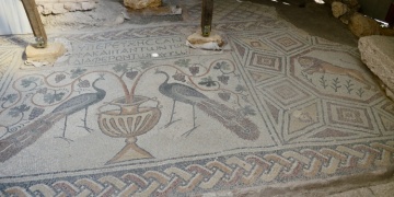 Hadrianaupolis antik kentinde tavus kuşu motifli mozaik bulundu