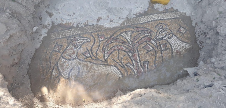 Manisa'da 2 defineci tarihi mozaik buldu, çıkarırken jandarmaya yakalandı