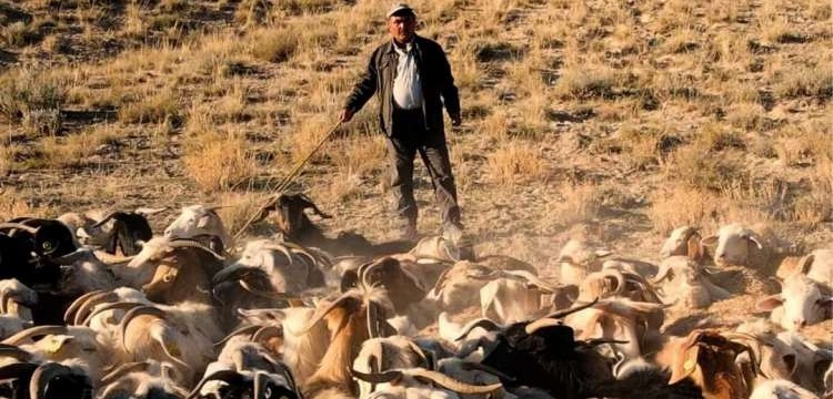 VEKAM Ödülü alan Gordionun Çobanları belgeseli