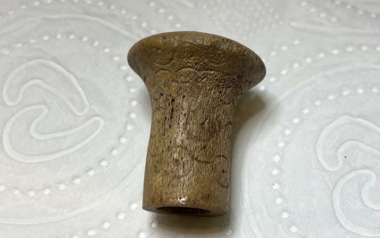 Troya'da bulunan, hançer kabzası olduğu sanılan 3300 yıllık kemik sap