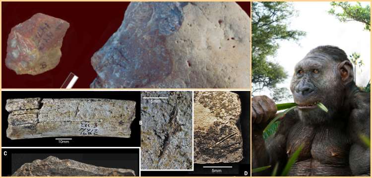 Kenya'da 2.9 milyon yıllık taş aletler, çentikli kemikler ve insanımsı tür dişleri bulundu