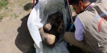 A courier was caught with a mummy in his bag at the archaeological site of Puno in Peru