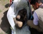 A courier was caught with a mummy in his bag at the archaeological site of Puno in Peru