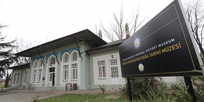 Nadir görülen canlılar Trakya Üniversitesi Doğa Tarihi Müzesinde