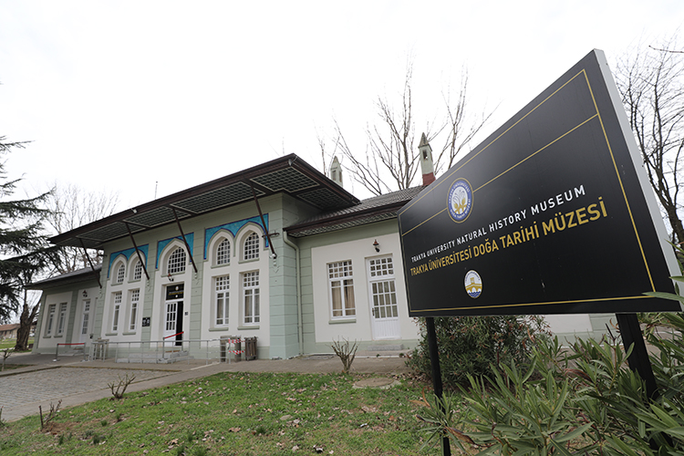 Nadir görülen canlılar Trakya Üniversitesi Doğa Tarihi Müzesi'nde