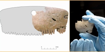 İngilterede insan kafatasından yapılmış 2 bin yıllık kemik tarak bulundu