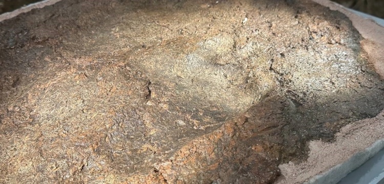 Barcın'da bulunan 8 bin yıllık ayak izi İznik Arkeoloji Müzesi’nde sergileniyor