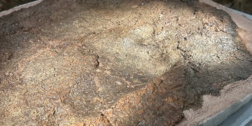 Barcında bulunan 8 bin yıllık ayak izi İznik Arkeoloji Müzesinde sergileniyor