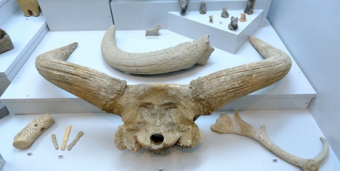 Kırklareli Müzesinde sergilenen arkeolojik ve tarihi eserlerden örnekler