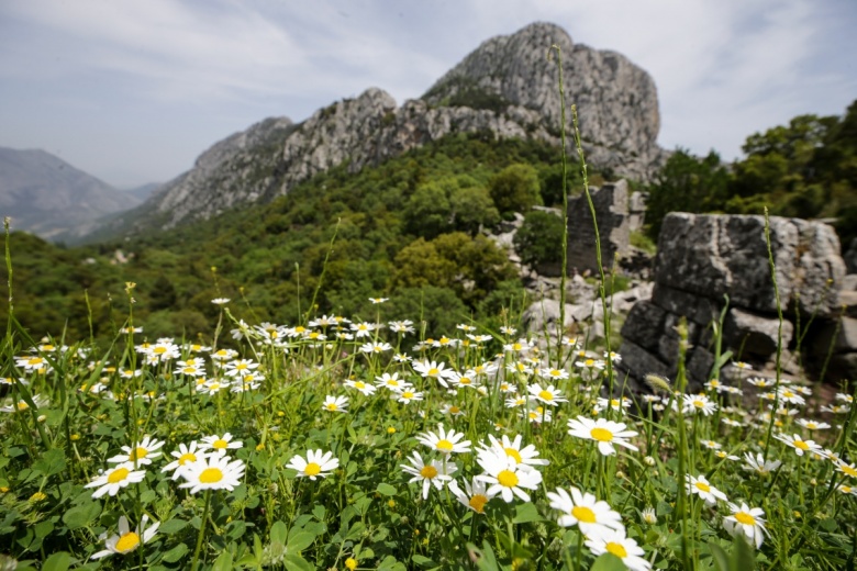 Termessos Antik Kenti hiç bir kazı yapılmadan UNESCO Dünya Mirası listesine girdi