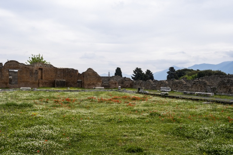 Pompeii Antik Kenti'nin bir çiftliği var, çiftliğinde koyunları var...