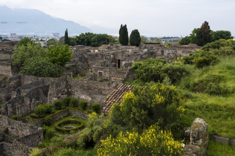 Pompeii Antik Kenti'nin bir çiftliği var, çiftliğinde koyunları var...