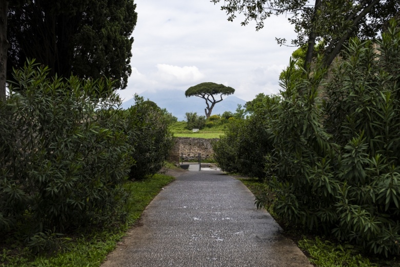 Pompeii Antik Kenti'nin bir çiftliği var, çiftliğinde koyunları var...