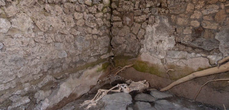 Pompei'de Vezüv patladığında bir fırına saklanmış 2 kadın ve 1 çocuğun iskeleti bulundu