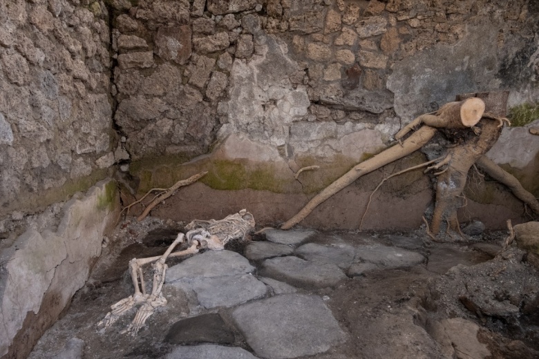 Pompei antik kentinde mitolojik sahnelerle süslü iki yeni duvar keşfedildi