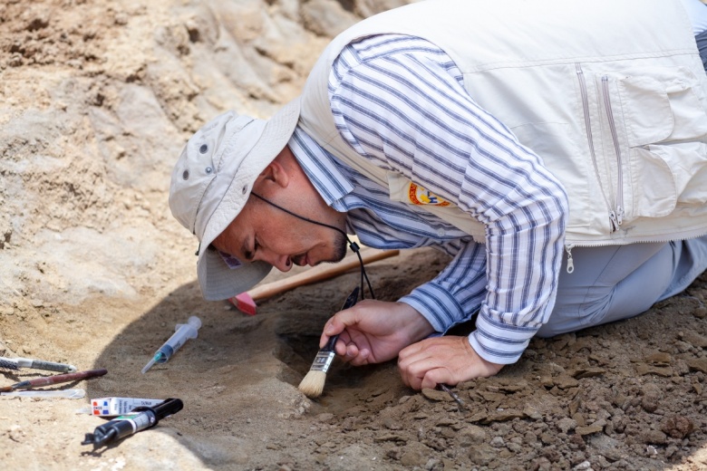 Çankırı'da 28 milyon yıllık dev gergedan fosiline ait yeni kemikler bulundu
