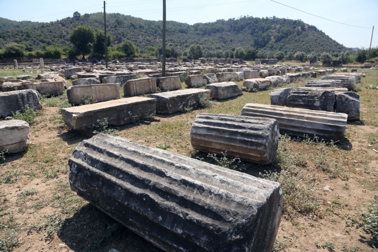 Milas'taki , Zeus Lepsynos Tapınağı'nın restorasyonu sürüyor.