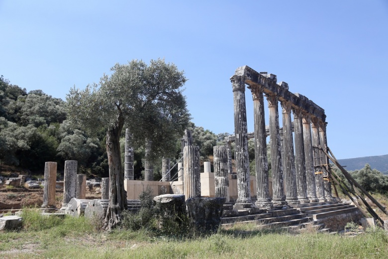 Milas'taki , Zeus Lepsynos Tapınağı'nın restorasyonu sürüyor.