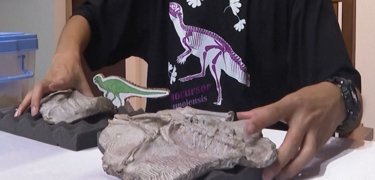 Tayland'da 145 milyon yıllık çok iyi korunmuş dinozor fosili bulundu