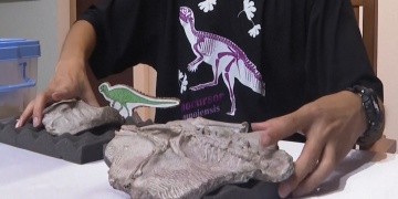 Taylandda 145 milyon yıllık çok iyi korunmuş dinozor fosili bulundu