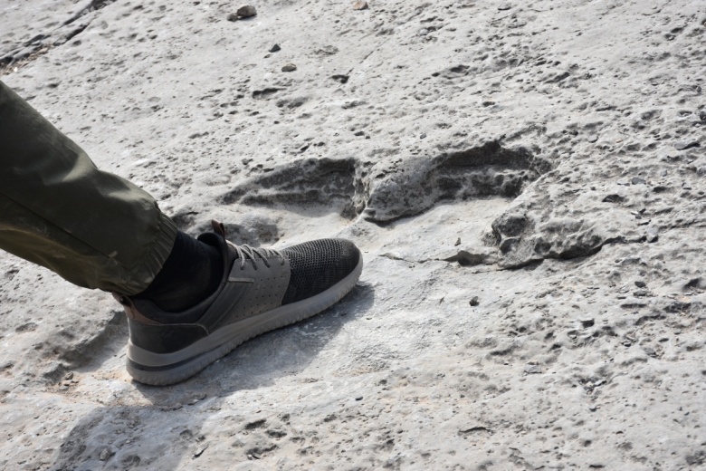 Türkmenistan'ın Köytendağ dinozor yaylasında binlerce dinozor ayak izi var