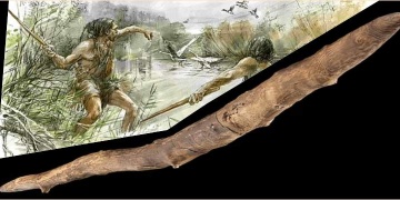 Humans fashioned double-pointed weapons 300,000 years ago and used them like boomerangs