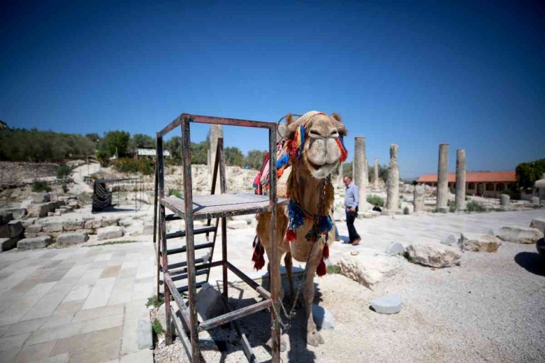 Sebastia'nın UNESCO Tehlike Altındaki Dünya Mirasları Listesi'ne alınması isteniyor