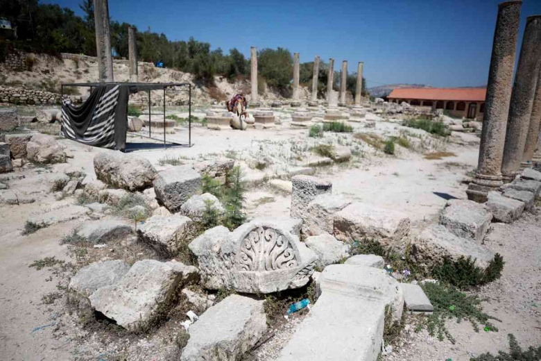 Sebastia'nın UNESCO Tehlike Altındaki Dünya Mirasları Listesi'ne alınması isteniyor