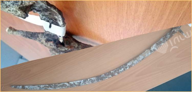 Kırgızistan'ın Talas şehrinde nadir rastlanan bir süvari kılıcı keşfedildi
