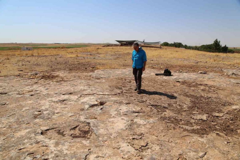 Taş Tepeler Projesi'nin en doğu noktasındaki Sefertepe arkeoloji kazılarından fotoğraflar