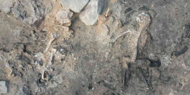 Kütahyadaki Tavşanlı Höyükte bulunan beyni çürümemiş iskelet ve kazı alanından detaylar