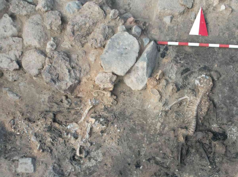 Kütahya'daki Tavşanlı Höyük'te bulunan beyni çürümemiş iskelet ve kazı alanından detaylar
