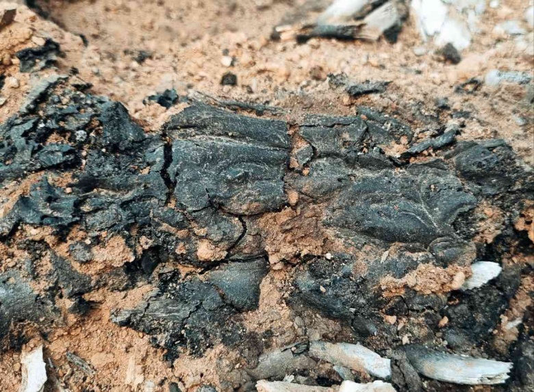 Kütahya'daki Tavşanlı Höyük'te bulunan beyni çürümemiş iskelet ve kazı alanından detaylar