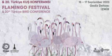 Turnalar için ilk festival İzmirde yapılacak: Flamingo Festivali program taslağı belli oldu