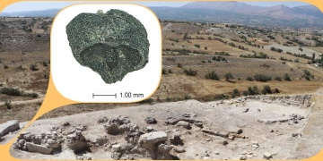 Denizlideki Aşağıseyit Höyüğü arkeoloji kazılarda, 3500 yıllık üzüm çekirdeği bulundu