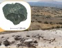 Archaeological excavation in Denizli finds remains of grape seeds dating back to 3500 years
