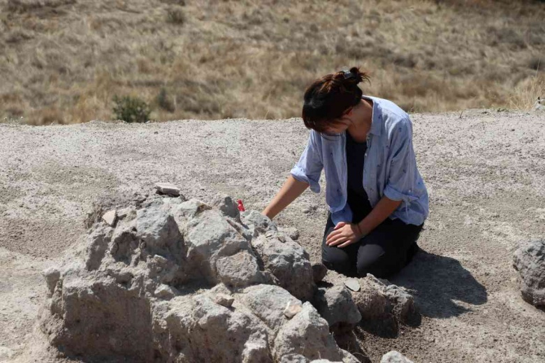 Üç bin 500 yıllık üzüm çekirdeği bulunan Aşağıseyit Höyüğü'nden fotoğraflar