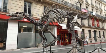 Yüz elli milyon yıllık dinozor fosili Pariste açık artırmayla satılacak