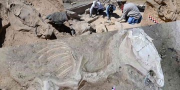 Vanda halka şeklinde gem takılmış Urartu dönemine ait at iskeleti bulundu