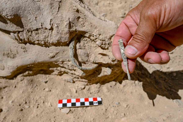 Van'daki Çavuştepe Kalesi'nde çenesinde bronz gem olan at iskeleti bulundu
