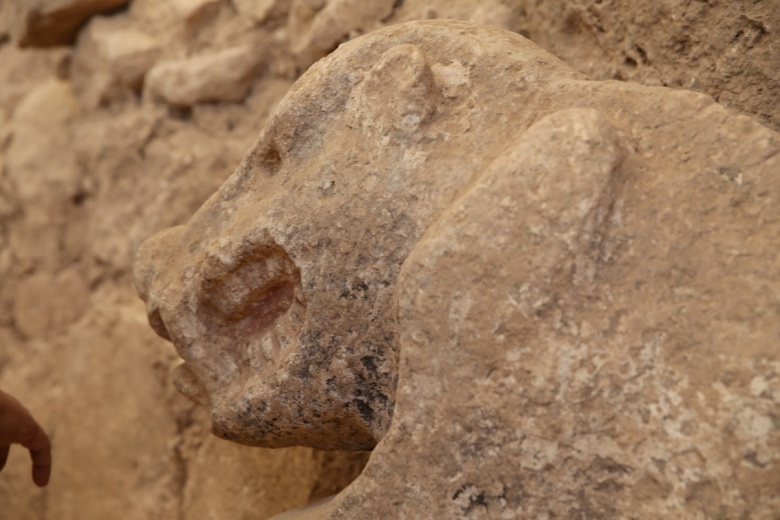 Göbeklitepe'de yeni bulunan yaban domuzu heykeli