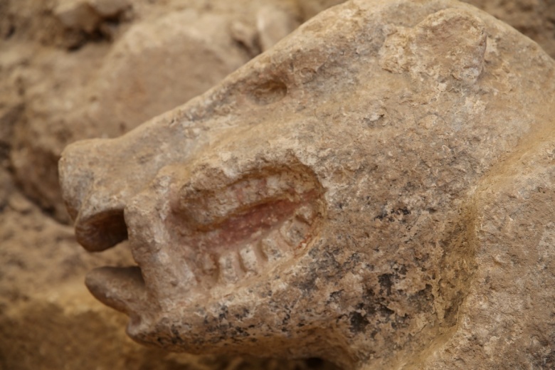 Göbeklitepe'de yeni bulunan yaban domuzu heykeli