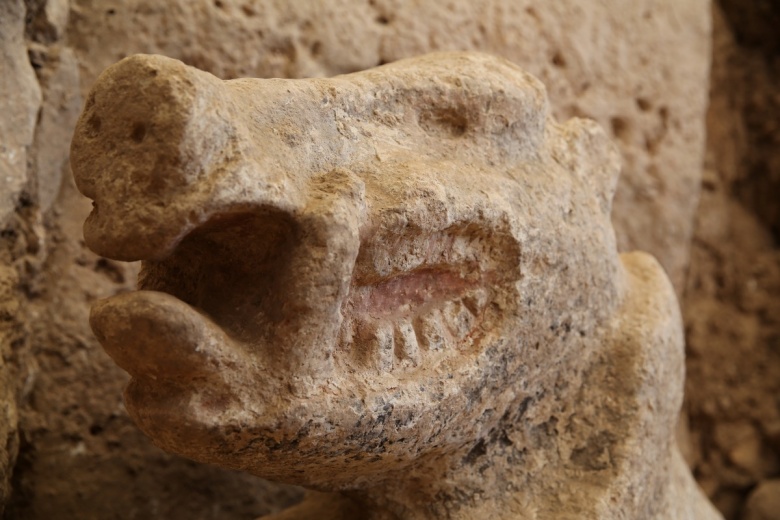 Göbeklitepe'de yeni bulunan yaban domuzu heykeli
