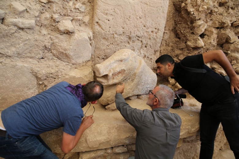 Göbeklitepe'de yeni bulunan yaban domuzu heykeli