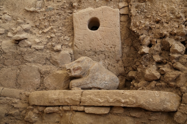 Göbeklitepe'de yeni bulunan yaban domuzu heykeli